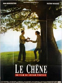 Le Chêne